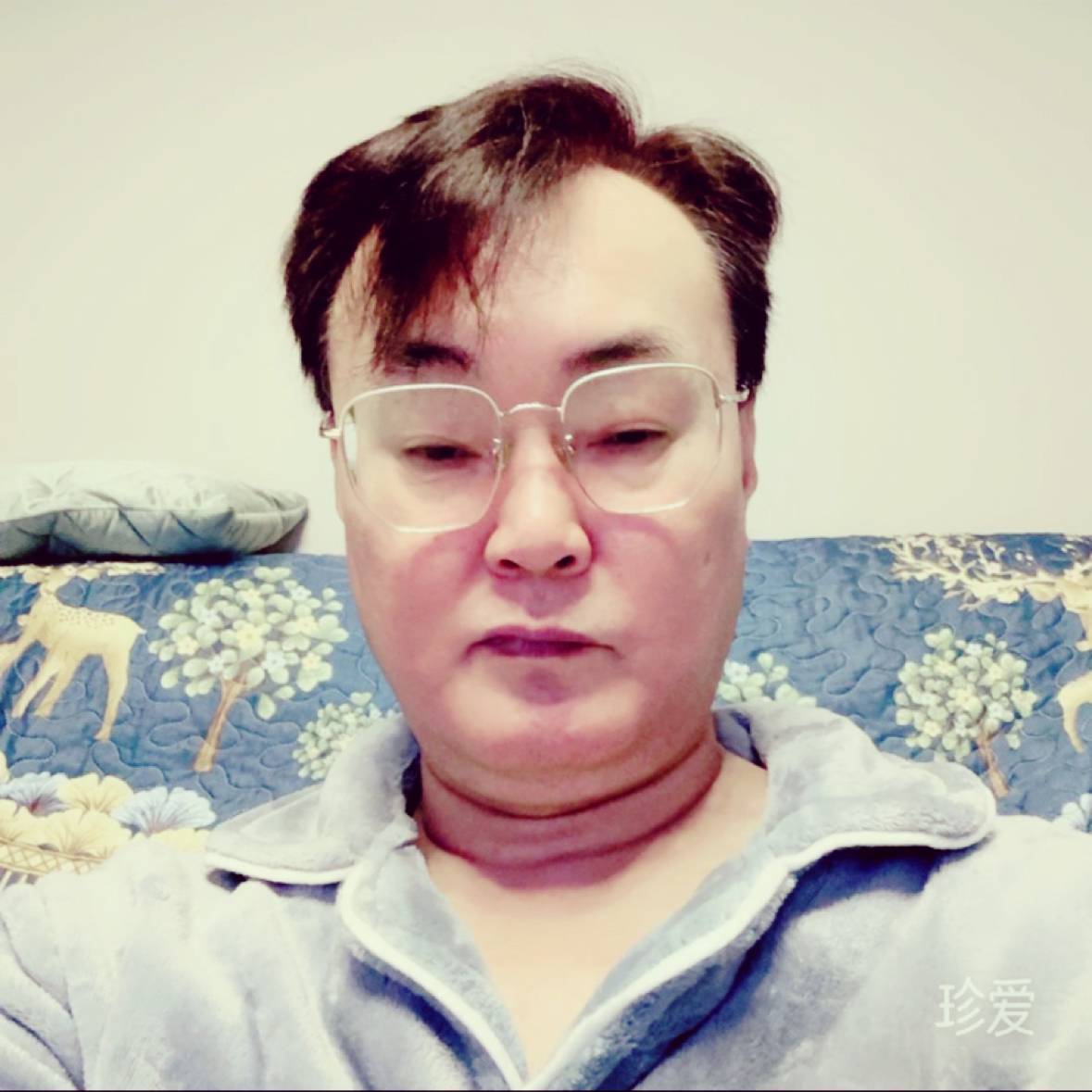 清风秀雅的照片