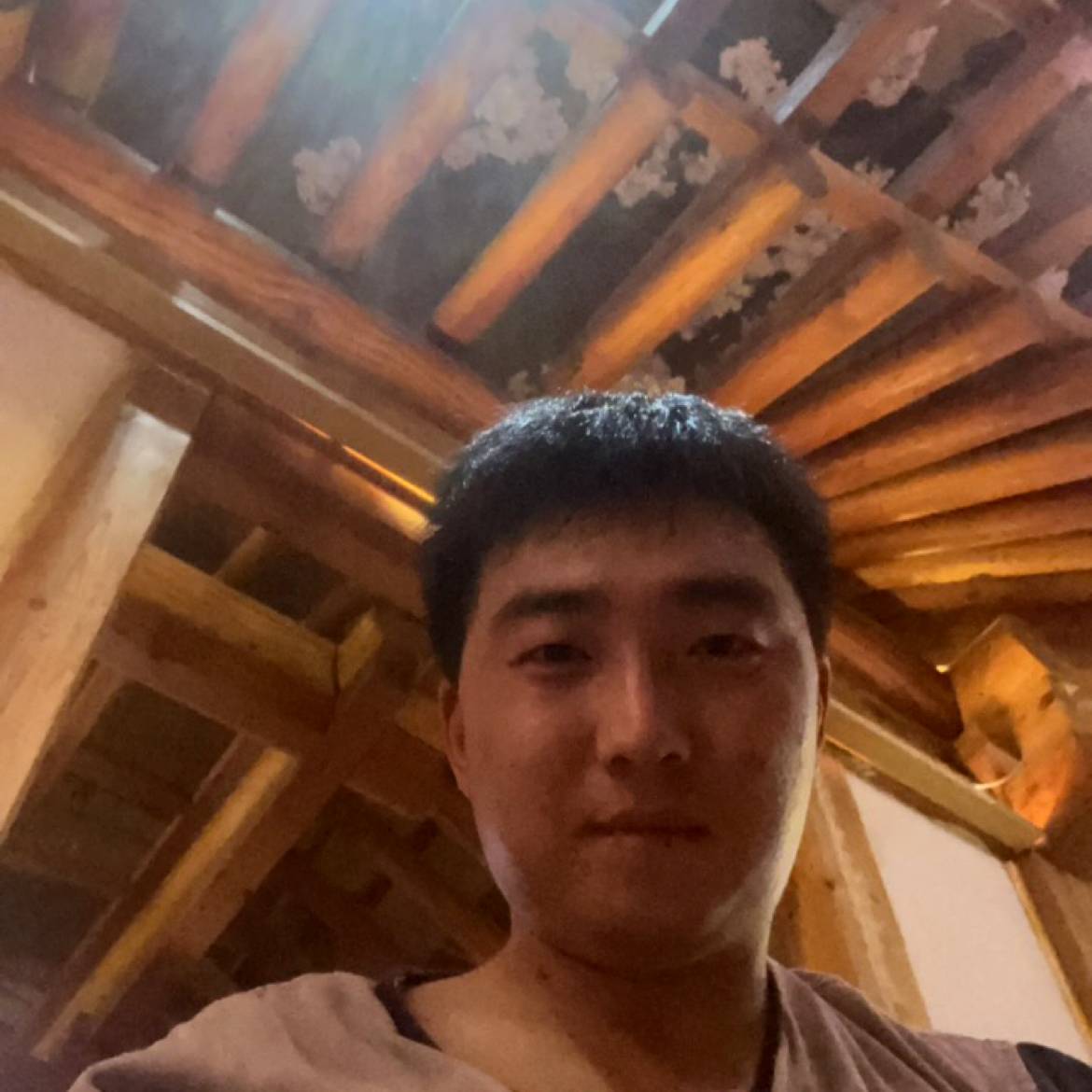 夕阳de雨林的照片