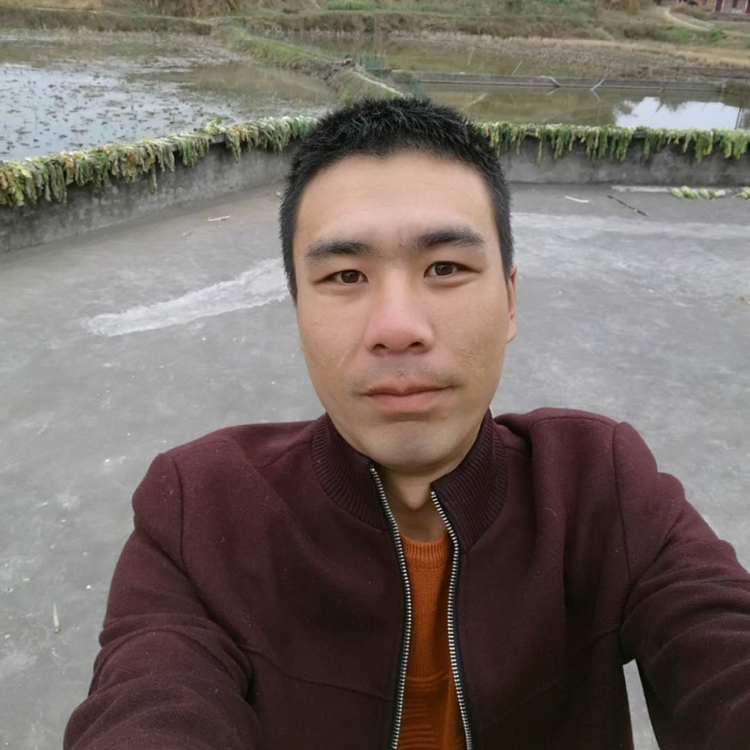 心的寻觅的照片