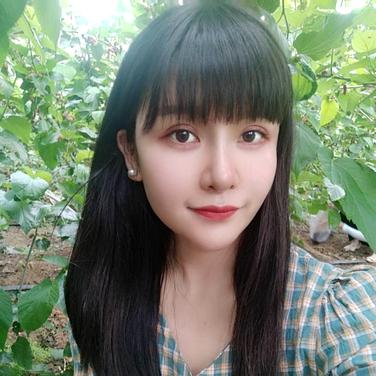 风吹樱落彼岸的照片