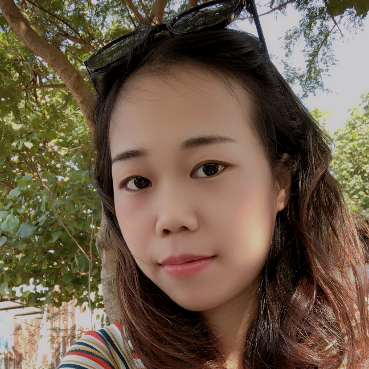 沉默演变溪流的照片