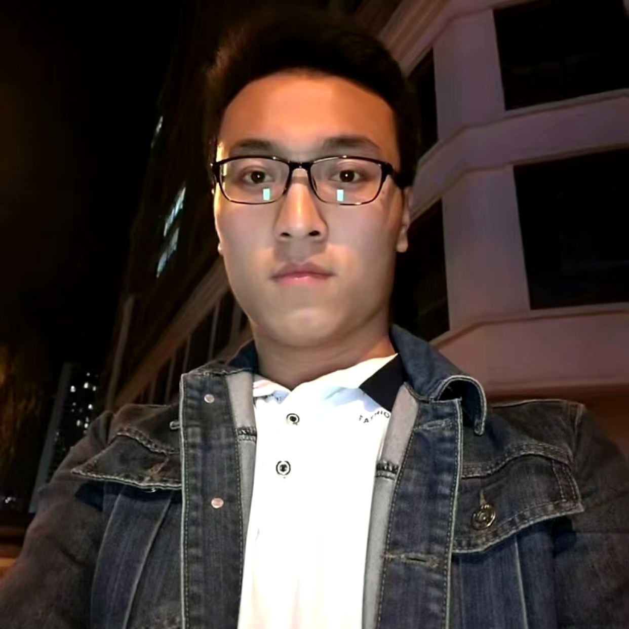 复杂的小鸽子的照片