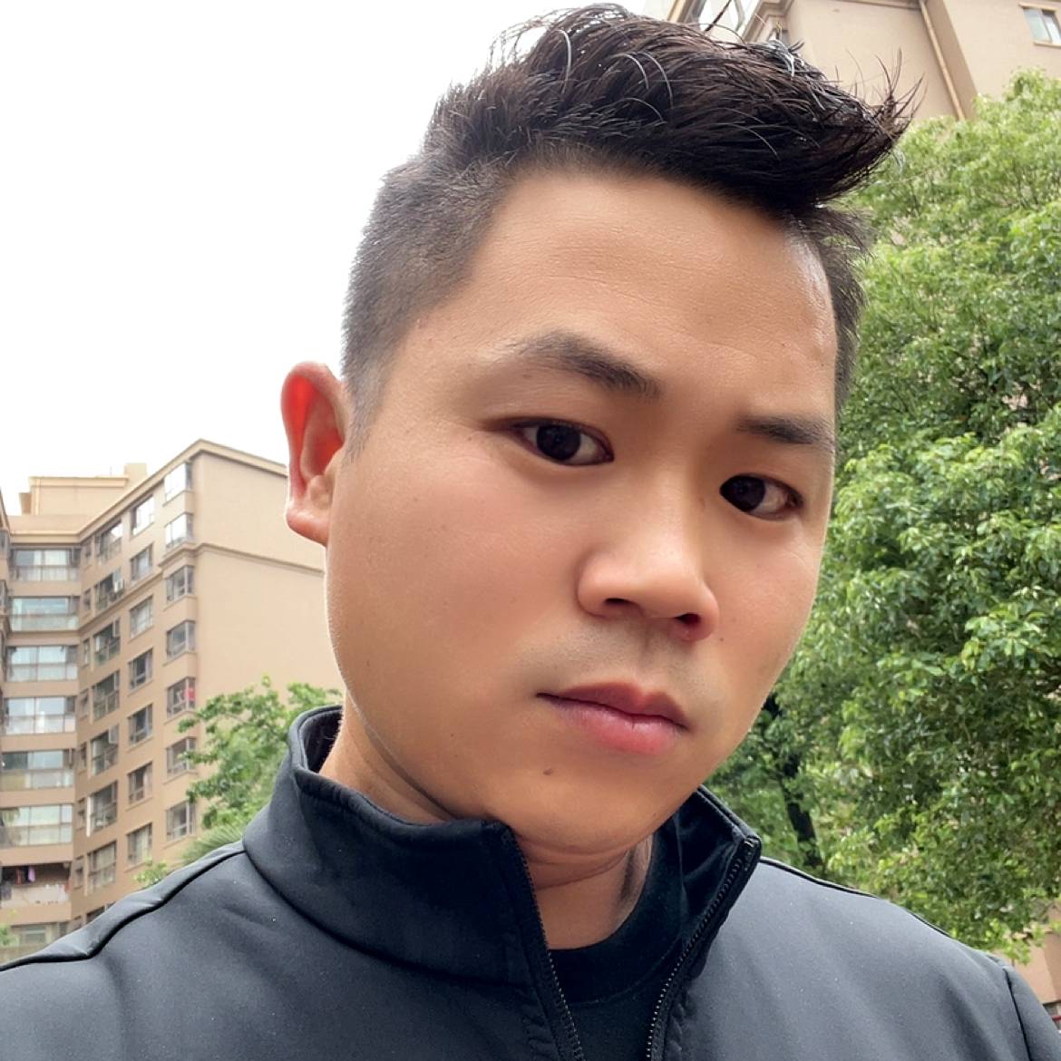 糟糕的兔子的照片