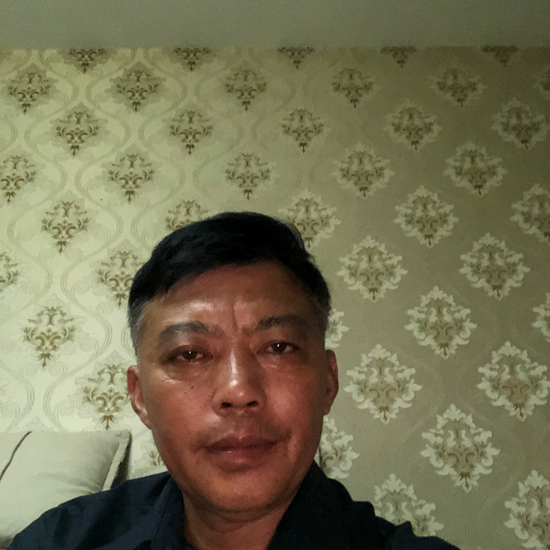 缘份杨杨的照片