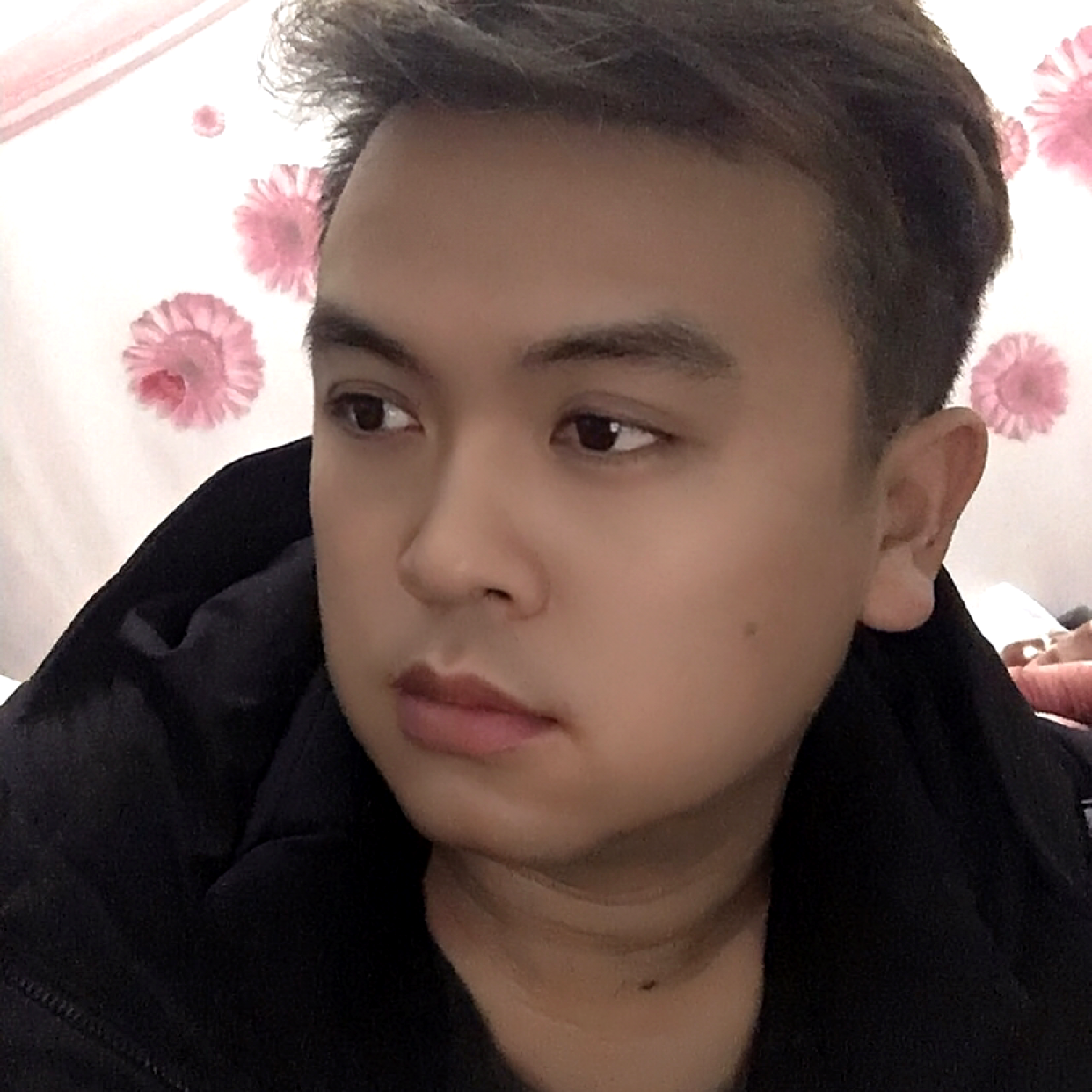 苗条爱恋小猫咪的照片