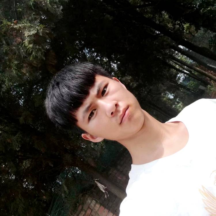 赢了世界的照片