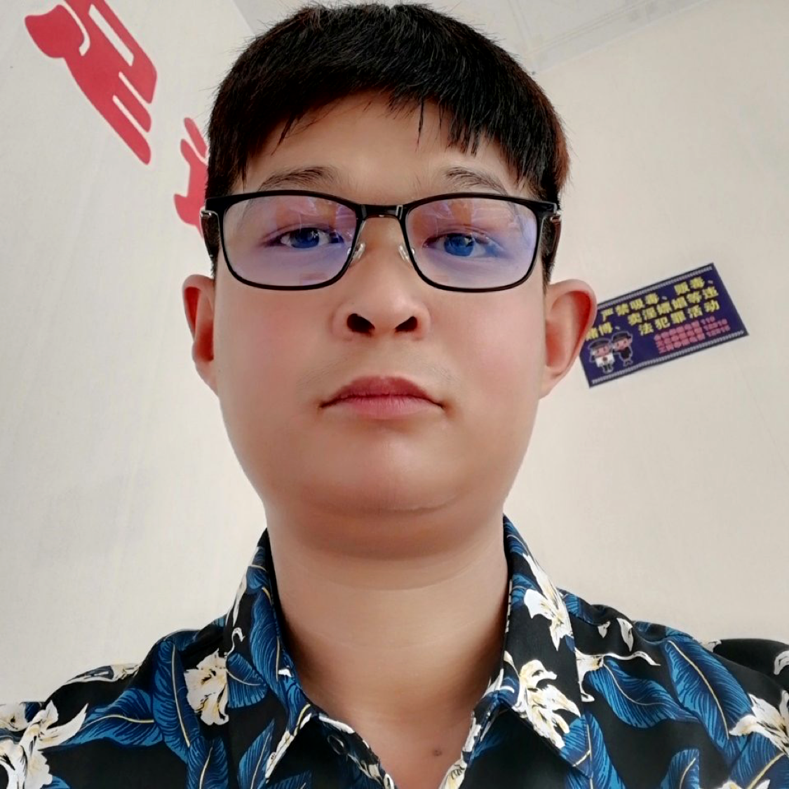 羽翼3344的照片