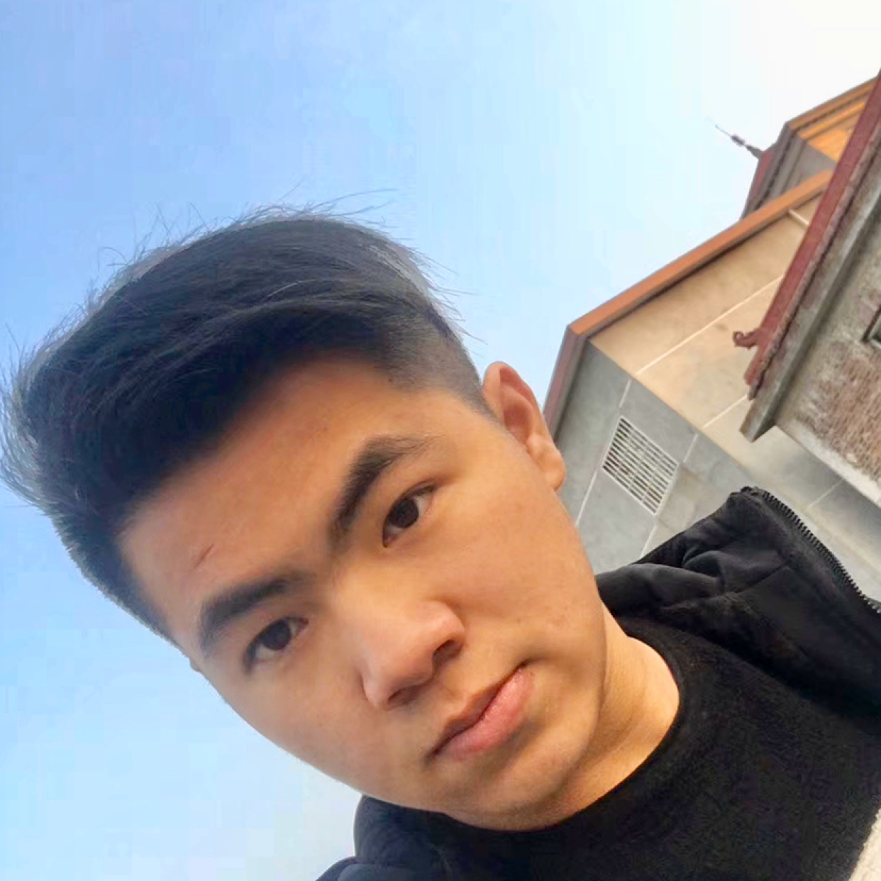 粗心那小猫咪的照片