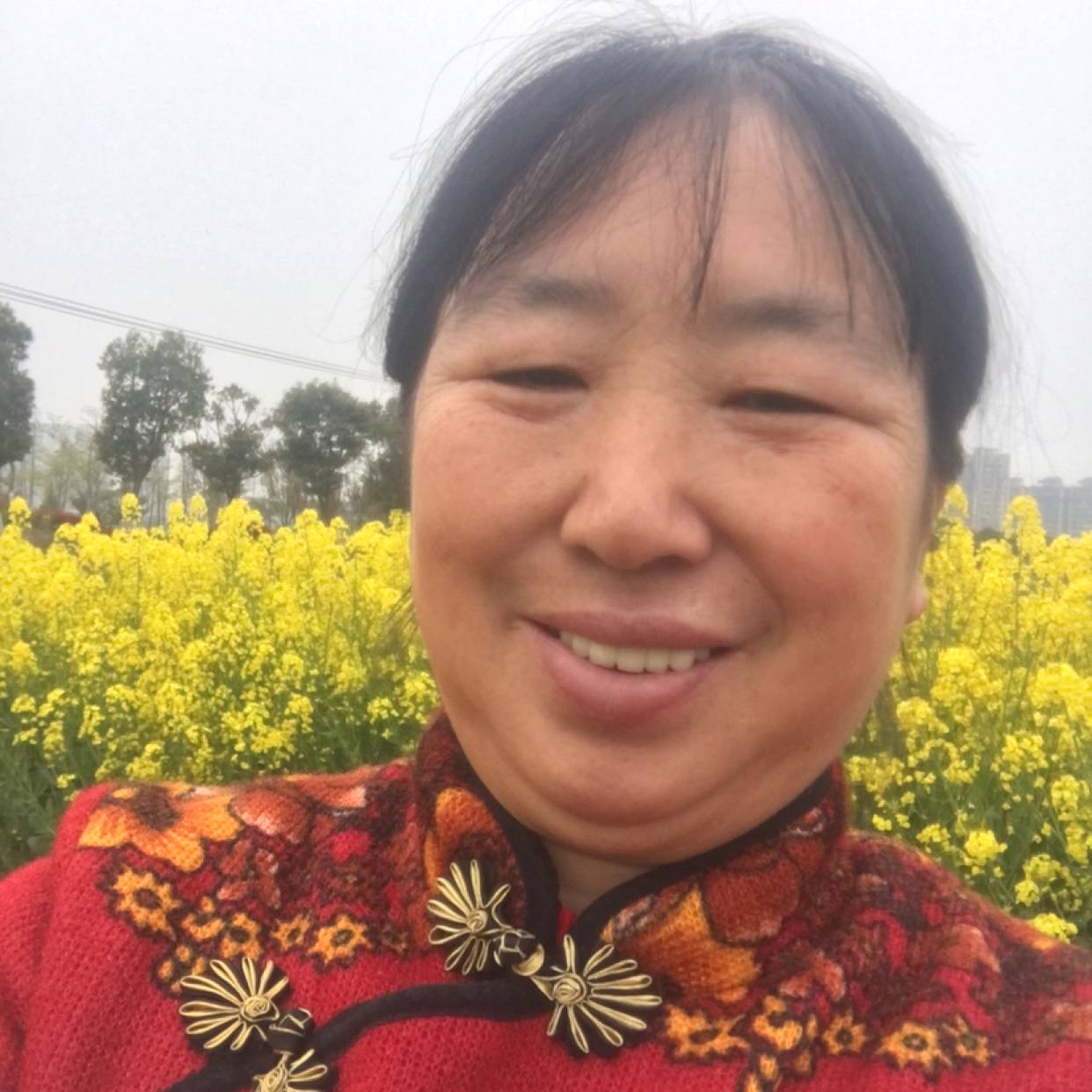 聪慧邂逅蚂蚁的照片