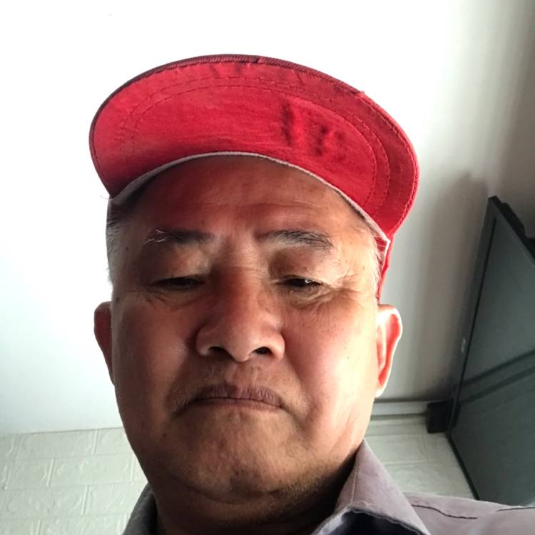 大侠和沉静的照片
