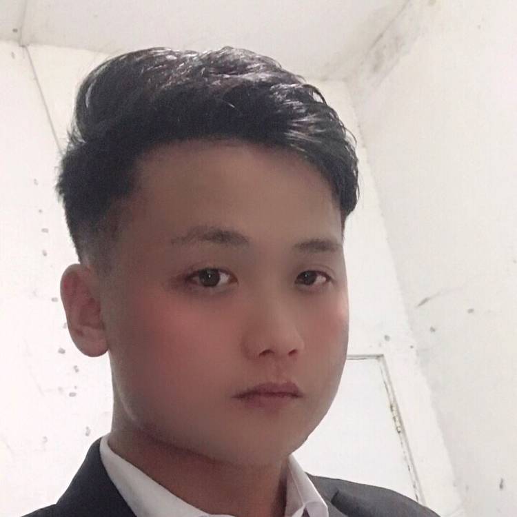 朦胧de垂柳的照片