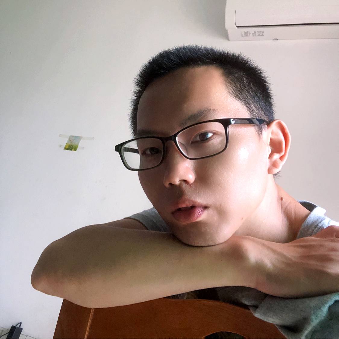 呆萌愿蜗牛的照片