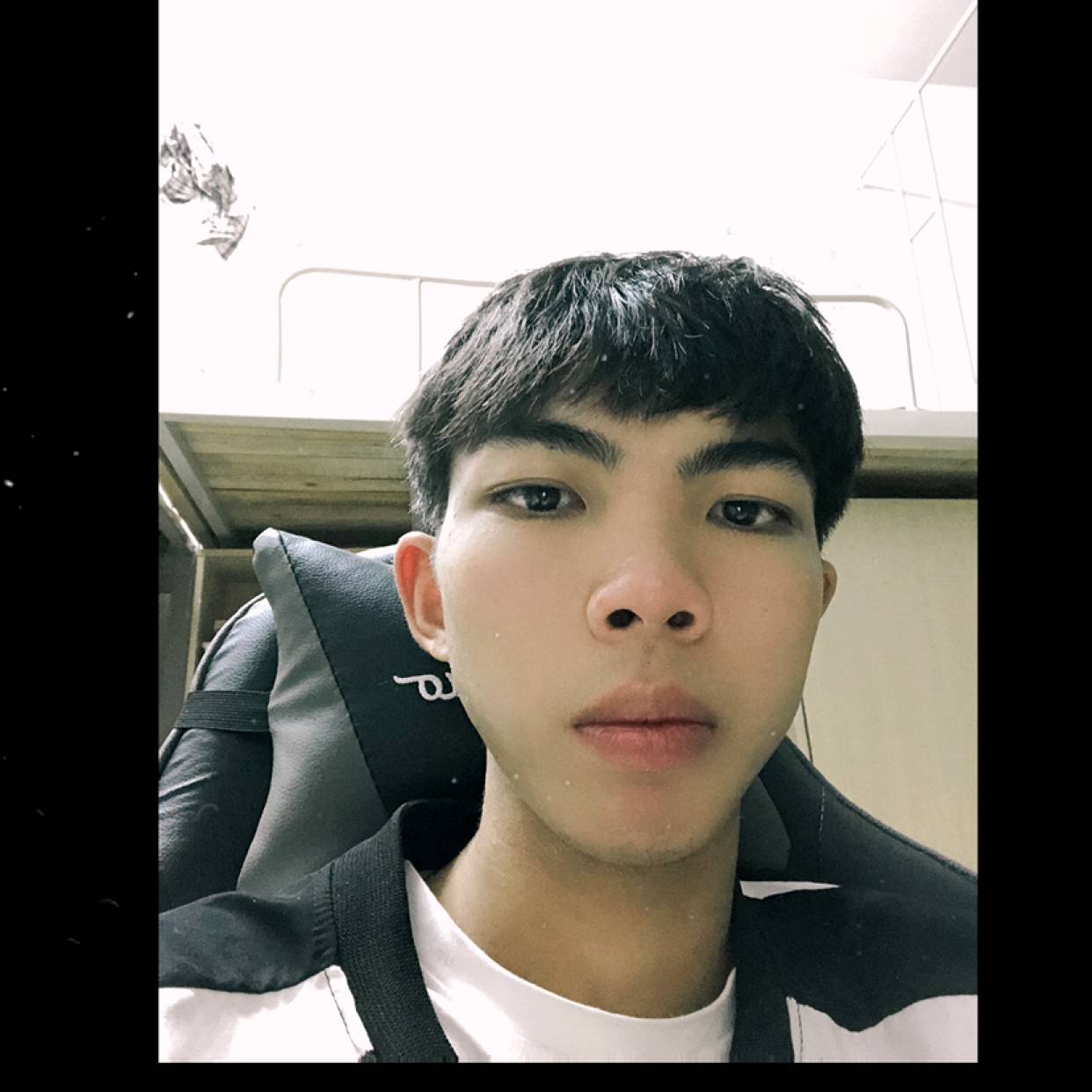 缠绵方金鱼的照片