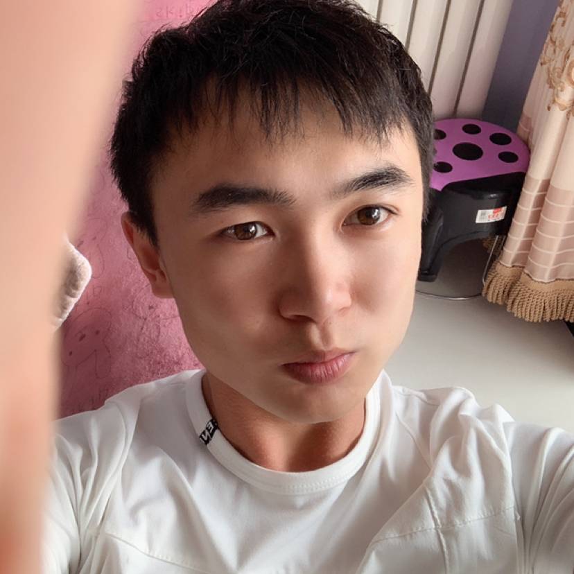 一只小奶狗的照片