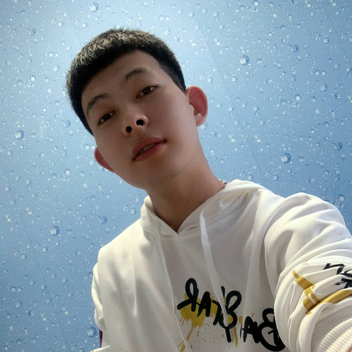 义气蹁跹小熊猫的照片