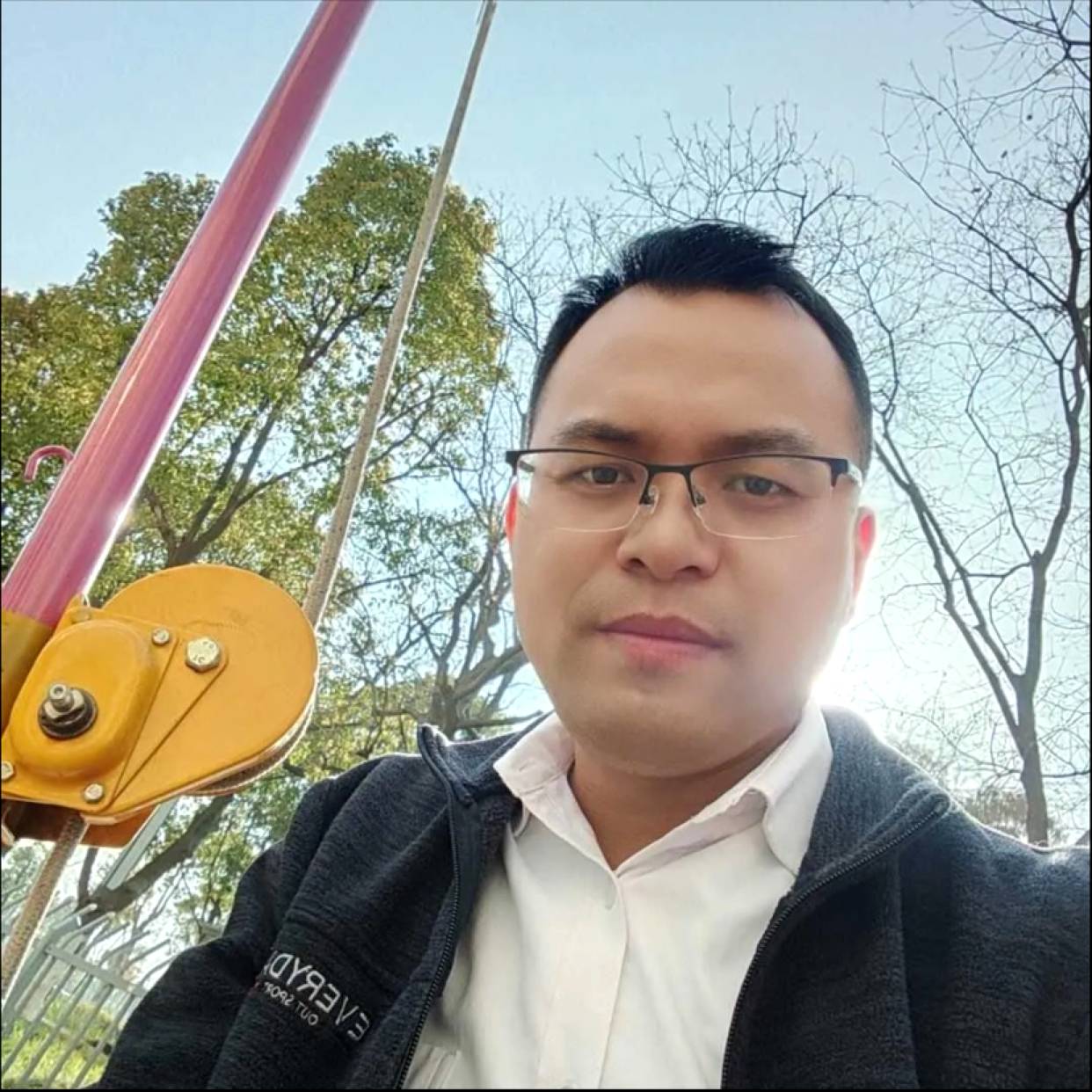 默默de椰棕树的照片