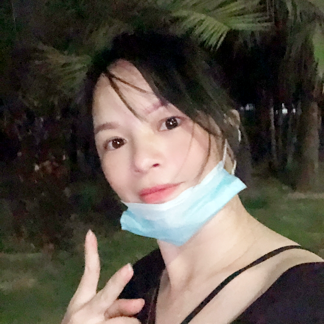如叶的照片