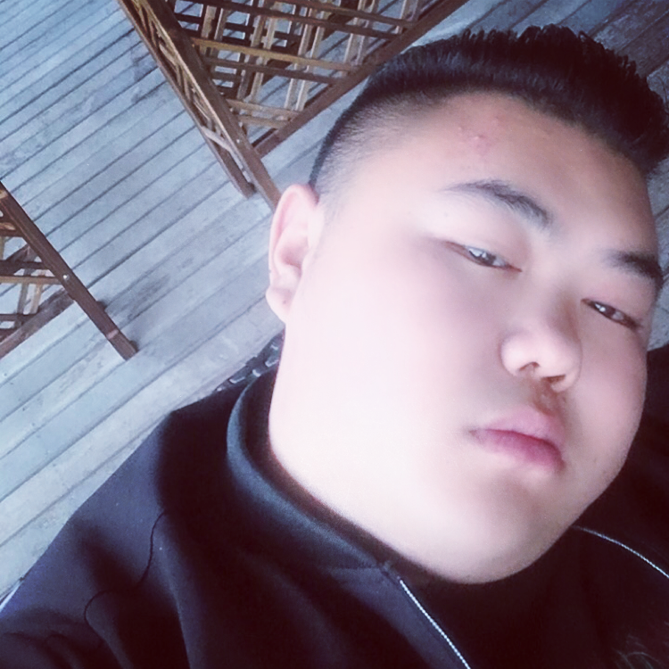 彩色演变豆芽的照片