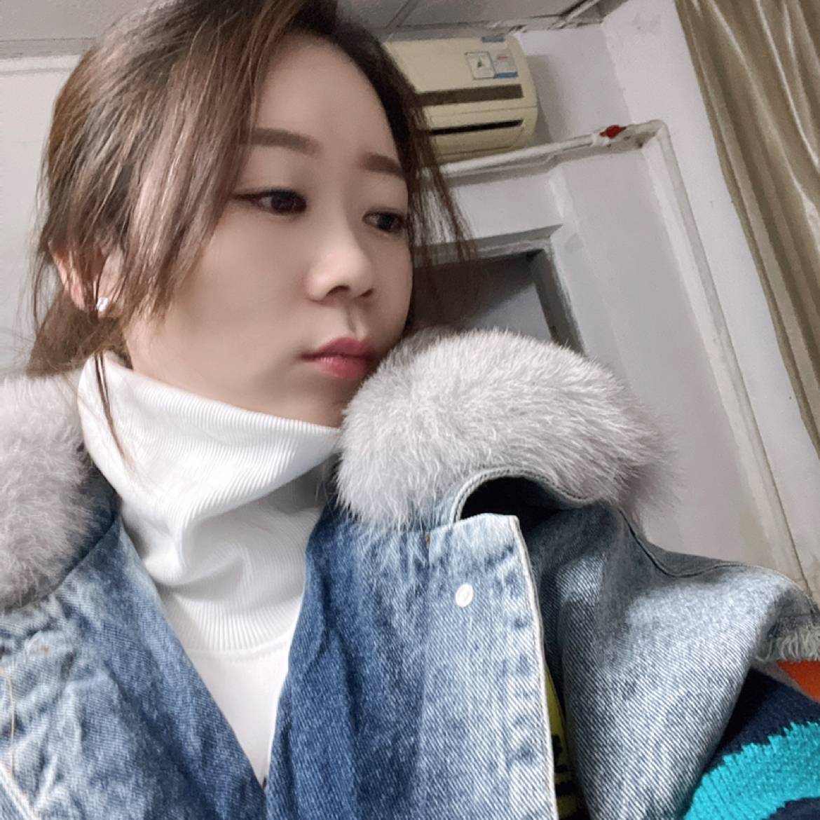 狗清秀的照片