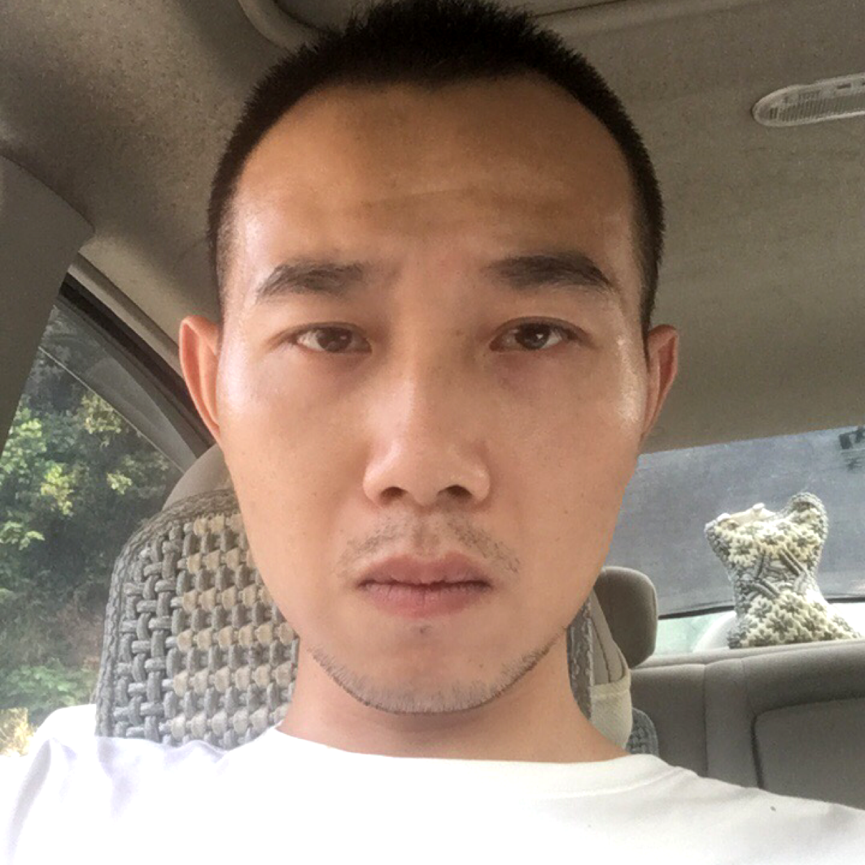 暧昧苦恋仙人掌的照片