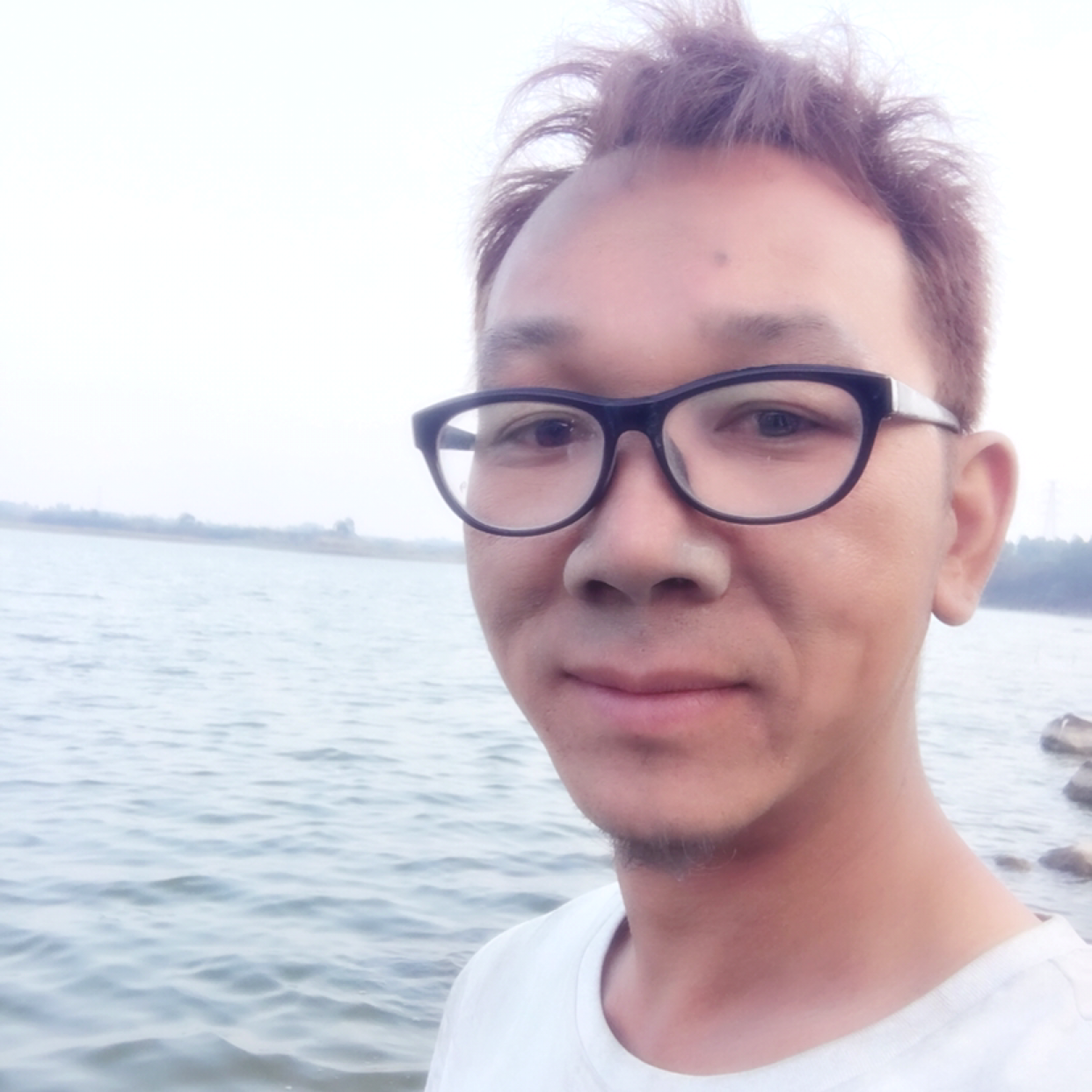 风雨中流浪的照片