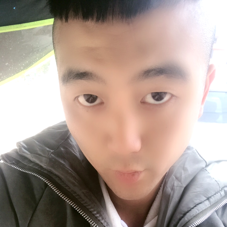 标致愿青衫的照片