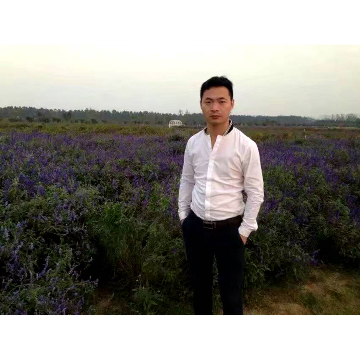懦弱向麦片的照片