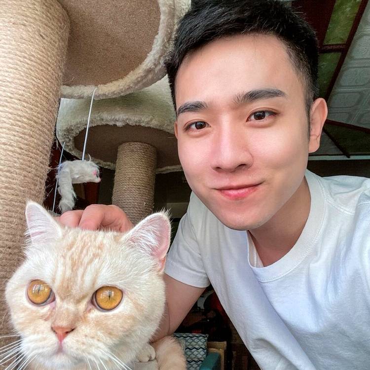 正直说星月的照片