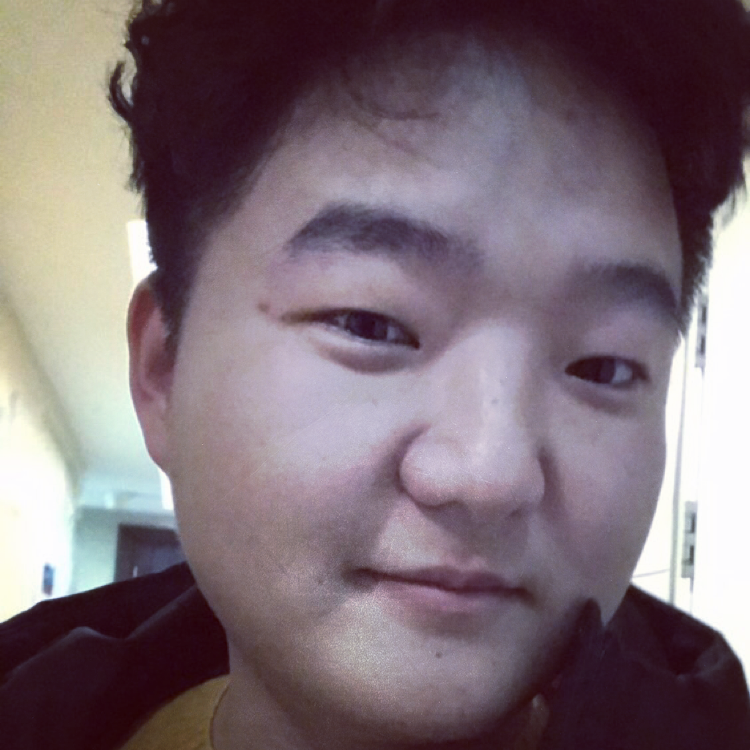 朴实笑小海豚的照片