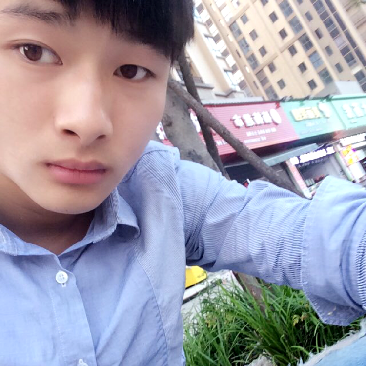 追寻与太阳的照片