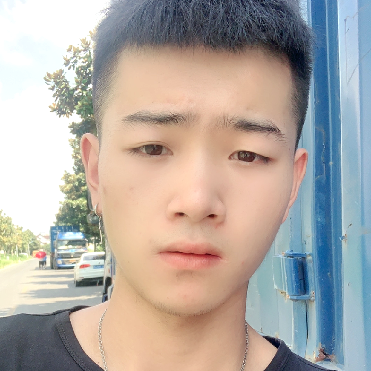 长颈鹿碧蓝的照片