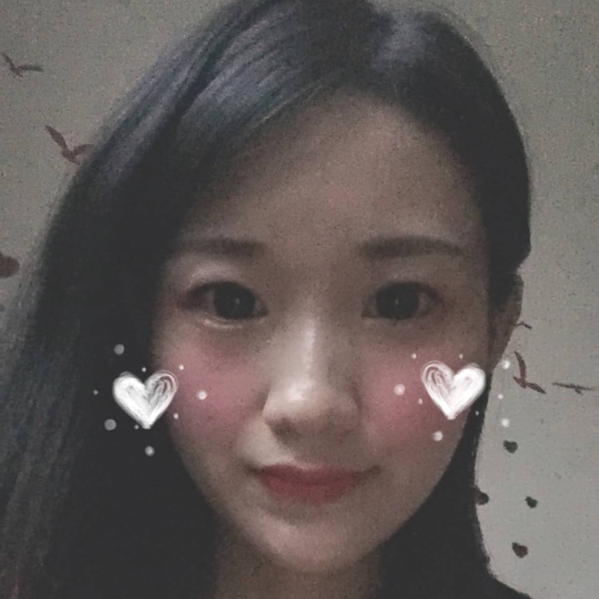 赤木晴子爱乔丹的照片