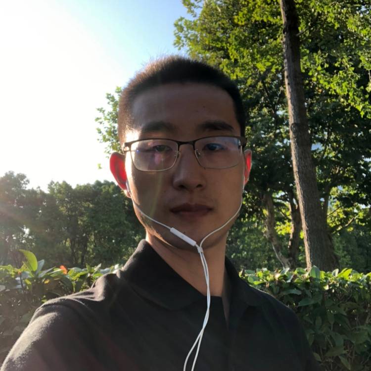 太阳之歌的照片