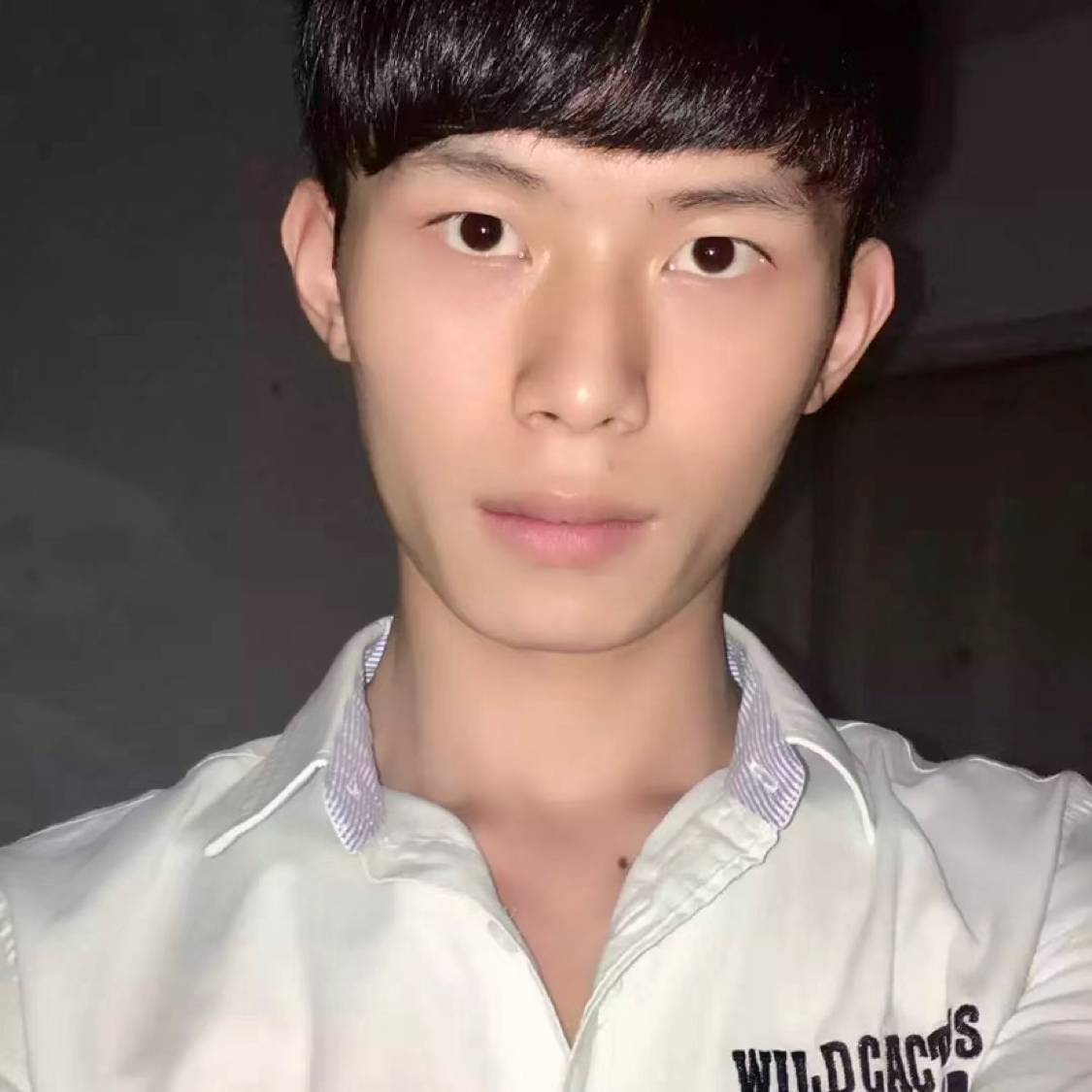 眉目清的照片
