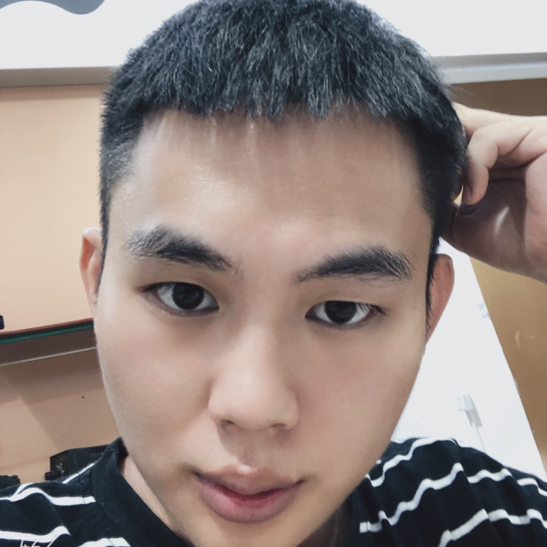 豆豆...的照片