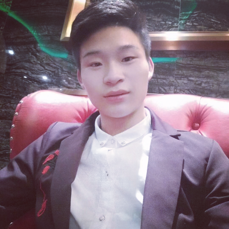树叶细腻的照片