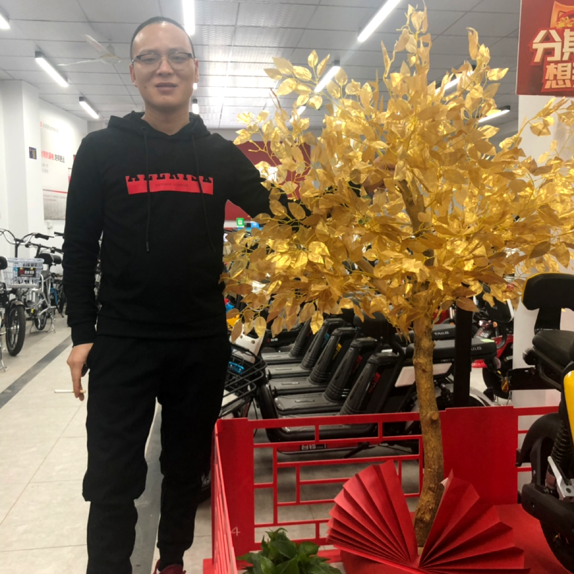 冰棍机智的照片