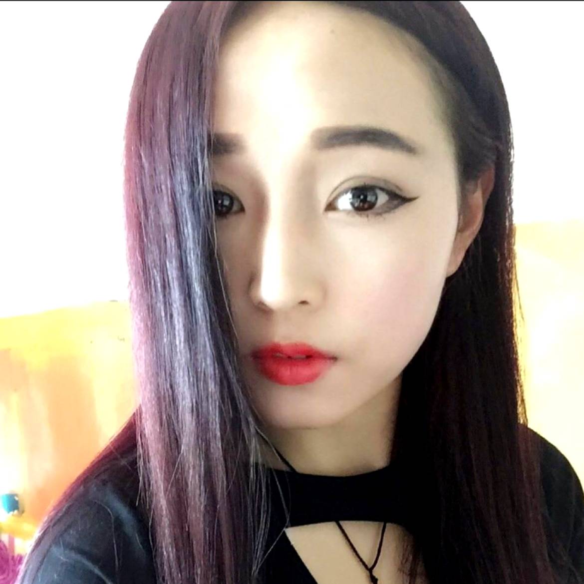 猫咪。,的照片
