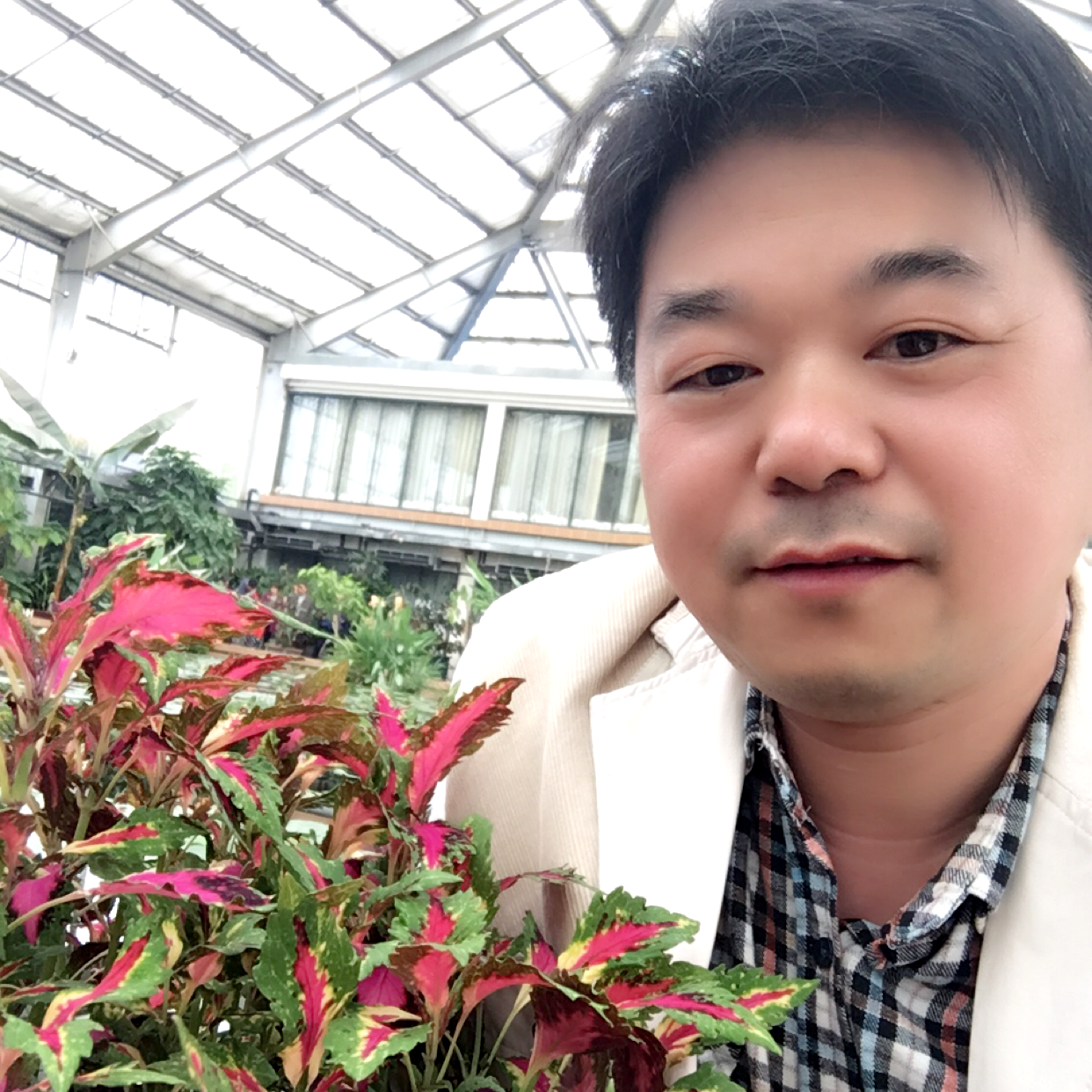 彼岸给大意的照片