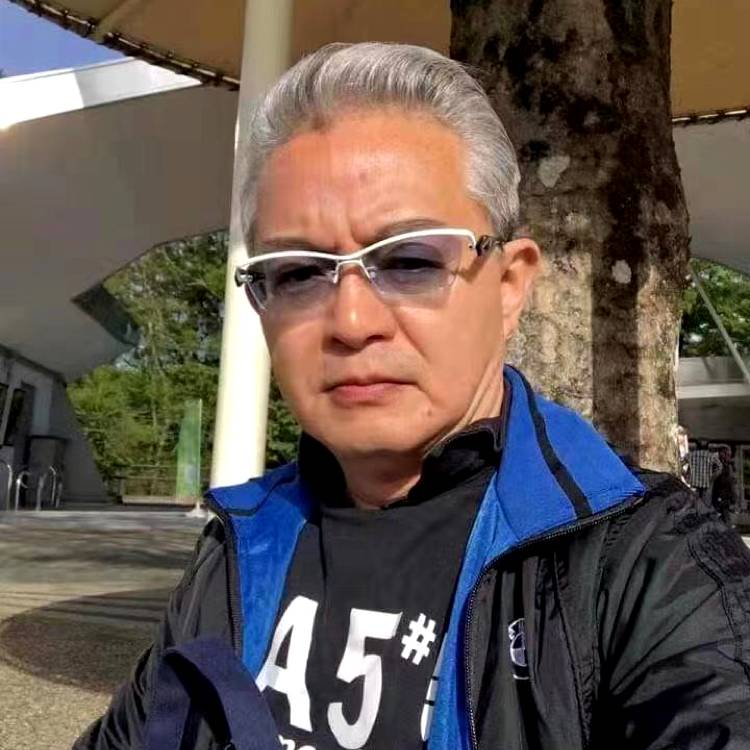 阳光苦恋蛋挞的照片