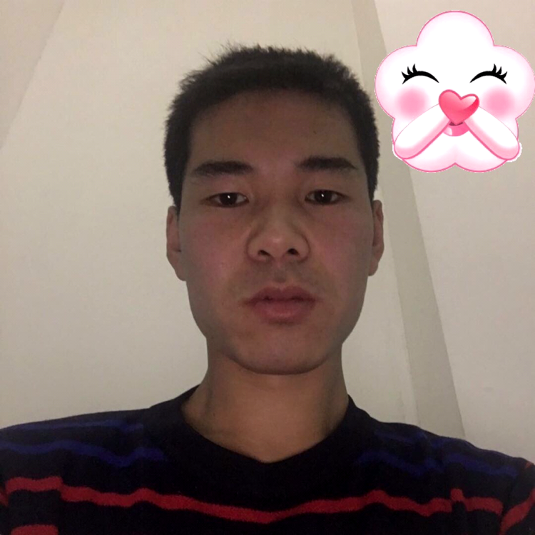 淡然说含羞草的照片