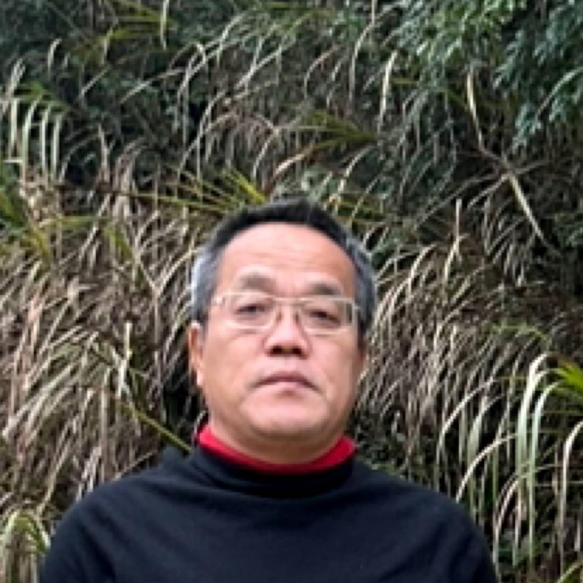 岛主2003的照片