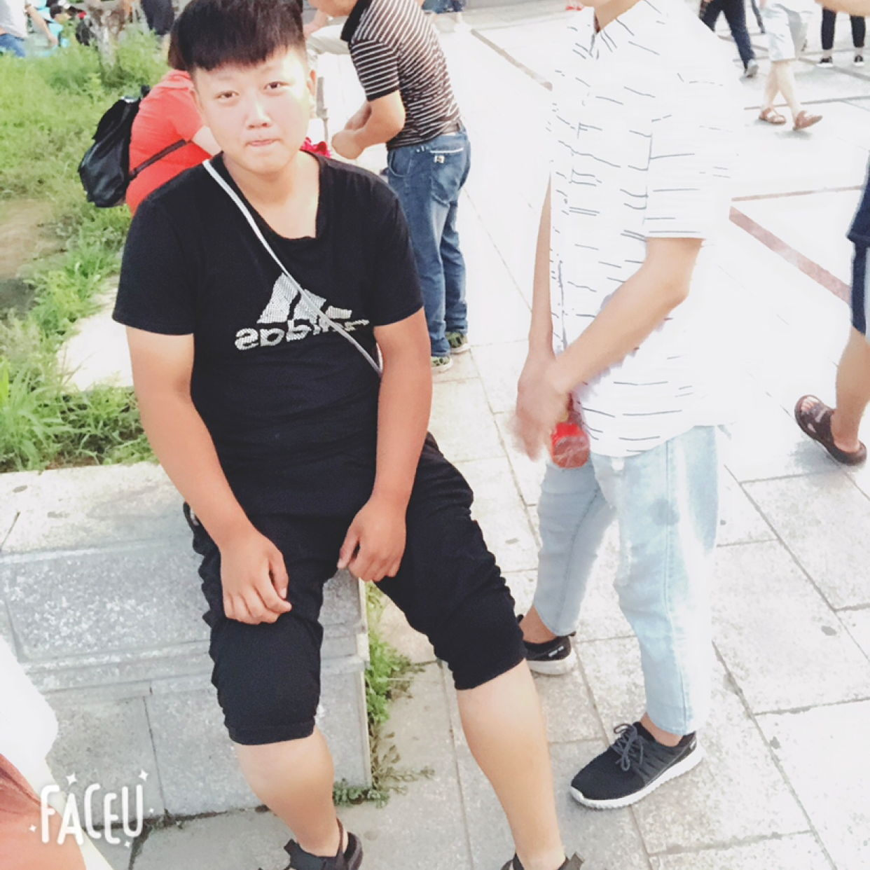彼年爱恋灰狼的照片