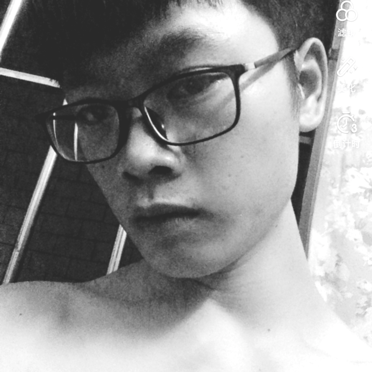 白 猫的照片
