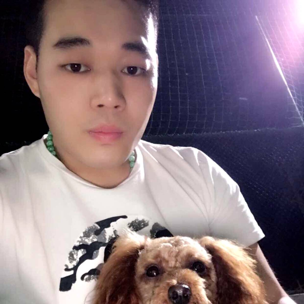 拓海淘沙的照片