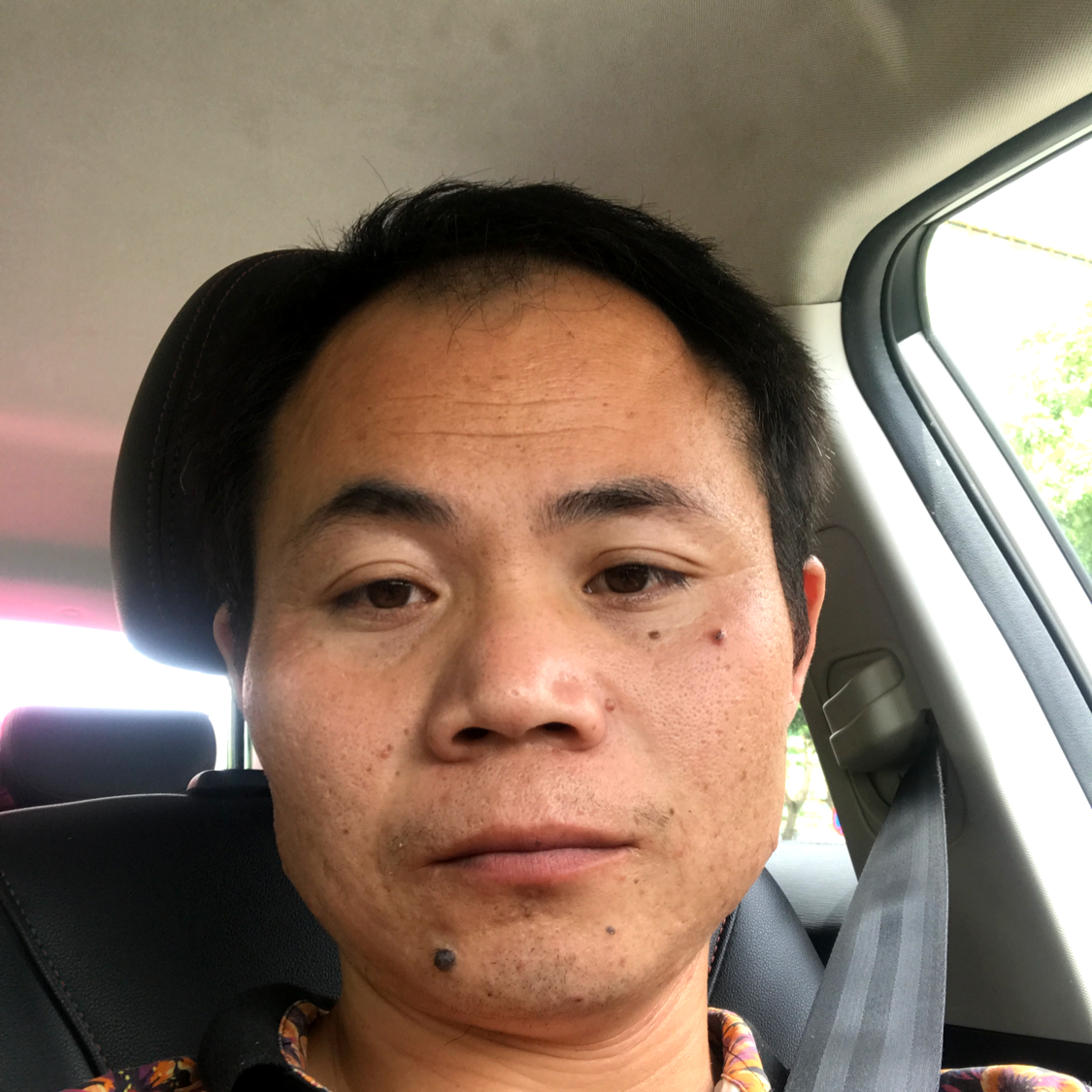 柳隐的照片