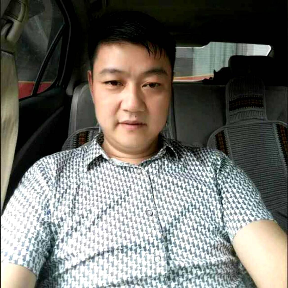 让人开心de垂柳的照片