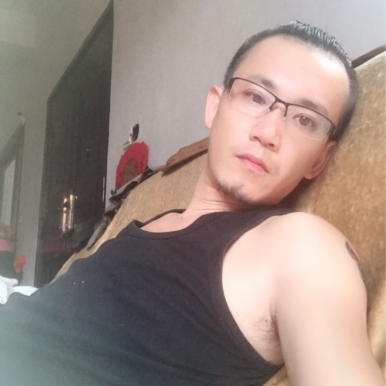 狗强健的照片