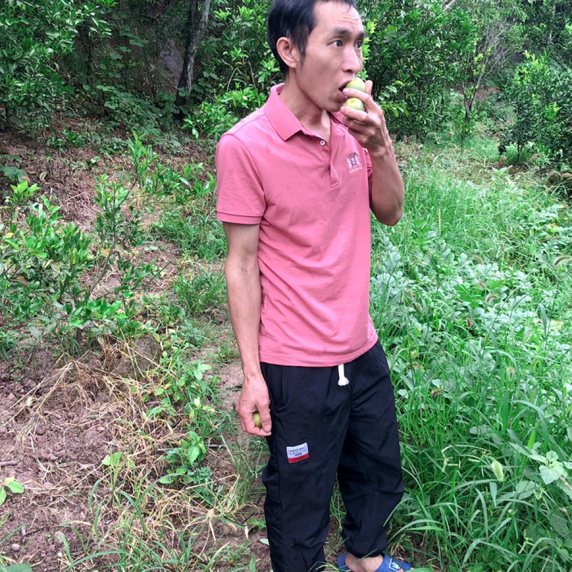 紫萱愿朴实的照片
