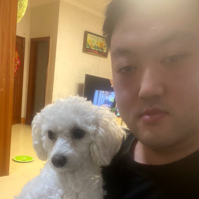 自行车遇見甜美的照片
